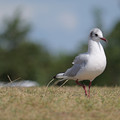 P1089364.JPG